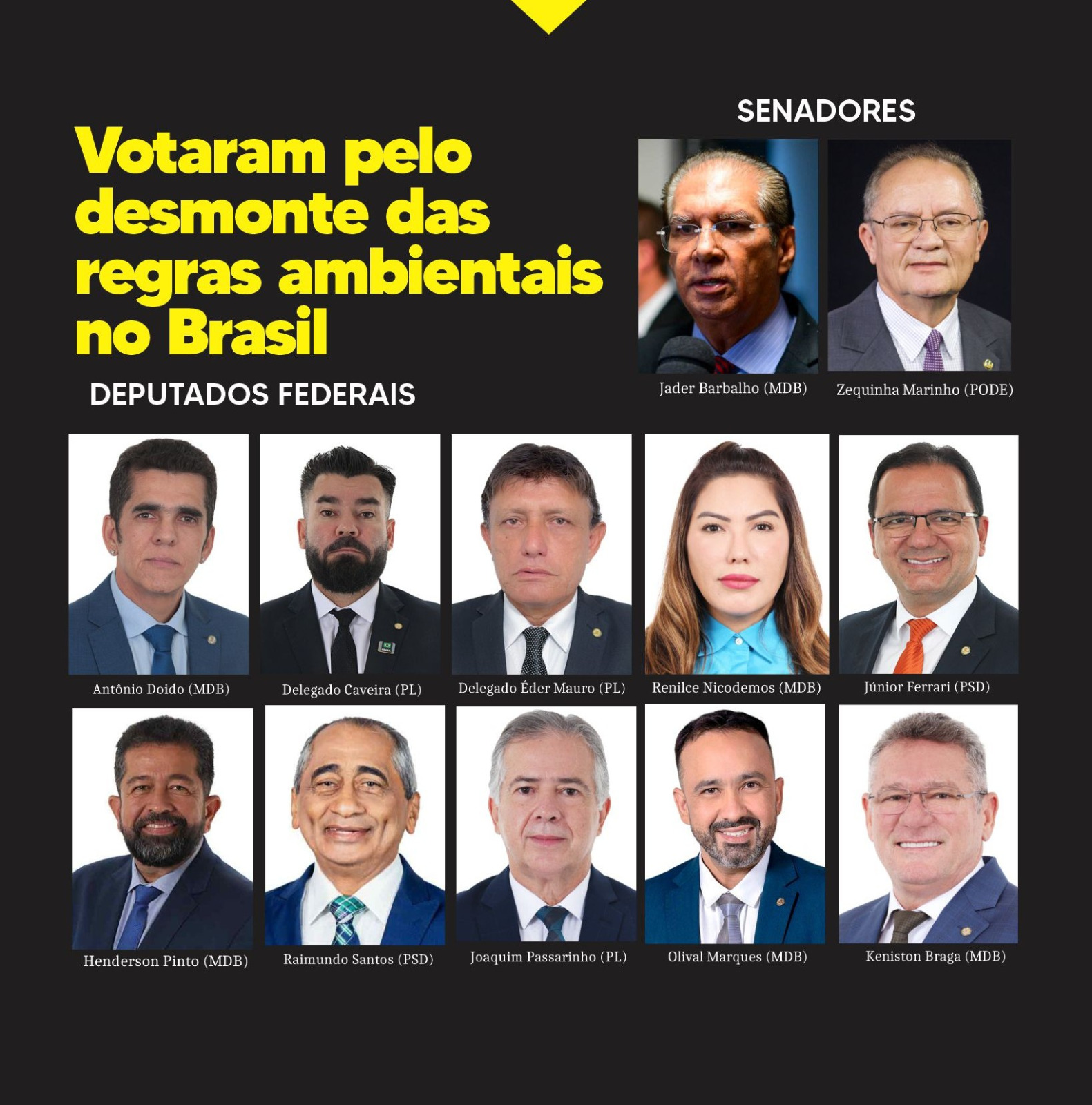 congresso-desmonta-regras-ambientais:-veja-como-votaram-os-parlamentares-do-para