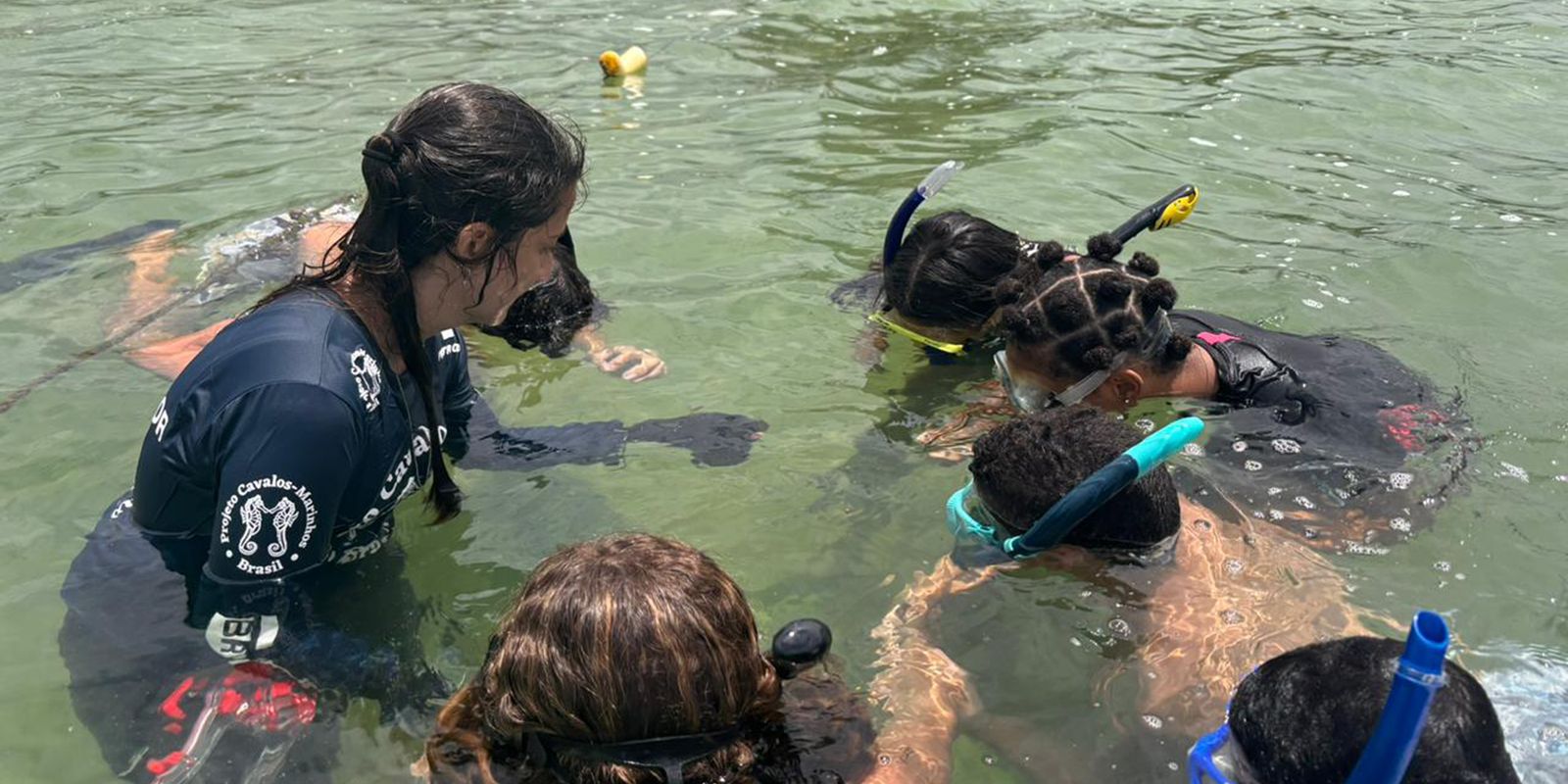 projeto-no-rio-forma-guardioes-de-cavalos-marinhos-de-12-a-14-anos