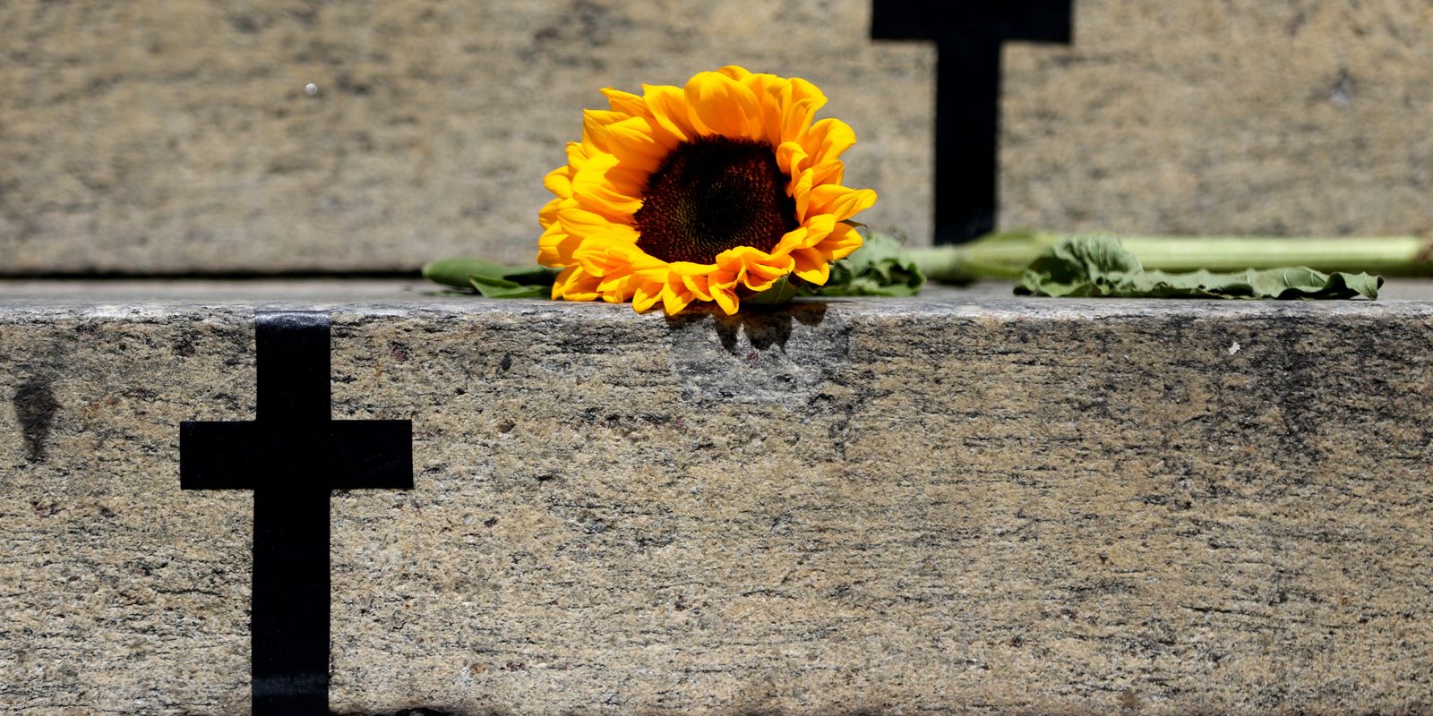 crimes-recentes-mostram-grave-cenario-de-violencia-contra-a-mulher