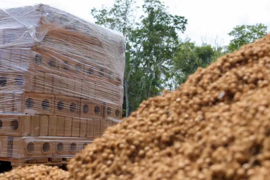 casas-ecologicas-em-ilha-de-belem-serao-erguidas-com-tijolos-de-carocos-de-acai