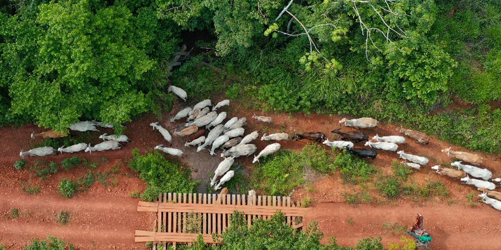 funai-solicita-apoio-da-pf-para-investigar-emboscada-no-para