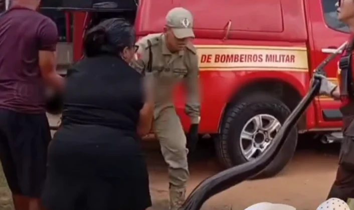 video:-sucuri-surge-sob-ponte-e-mobiliza-corpo-de-bombeiros