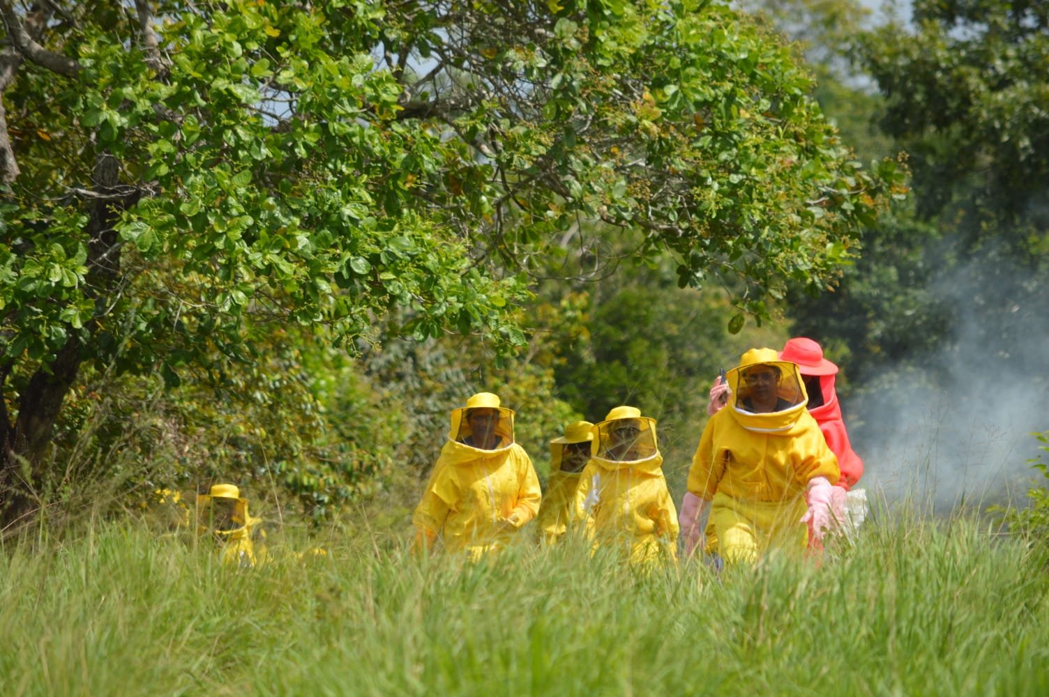 semeando-prosperidade:-programa-amplia-atuacao-e-ira-beneficiar-370-familias-em-paragominas