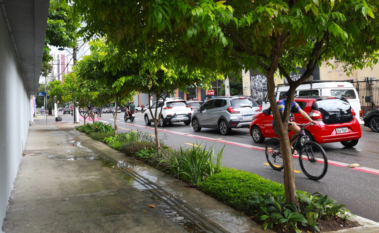 implantados-em-belem-jardins-de-chuva-contra-alagamentos