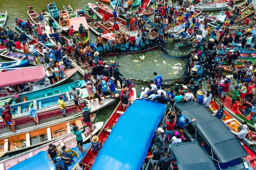 governo-do-estado-apoia-retomada-da-pesca-do-mapara-apos-quatro-meses-de-defeso