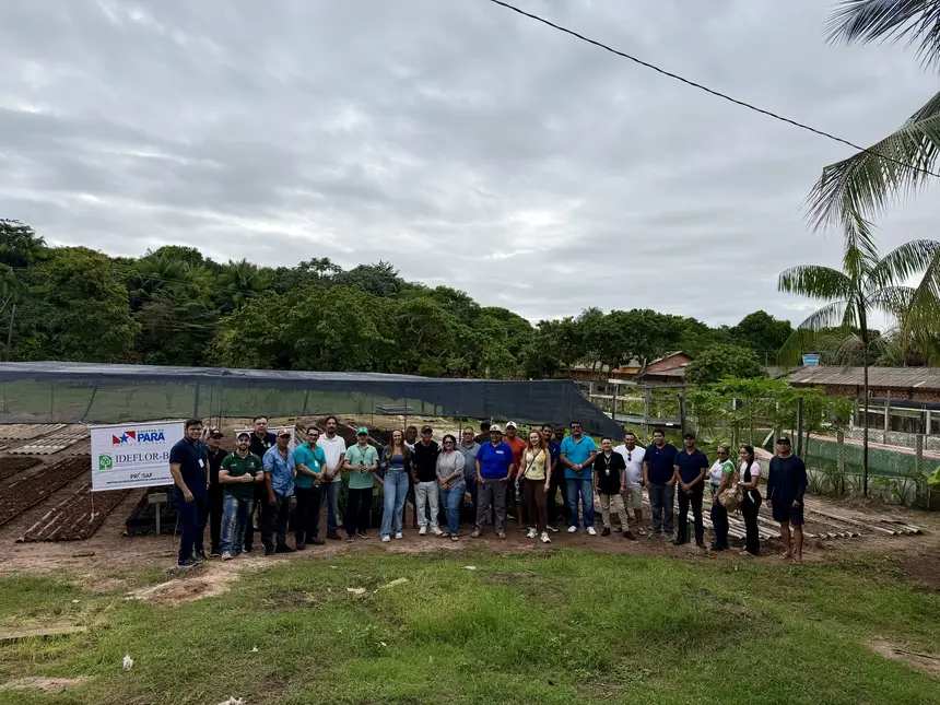 ampliacao-de-viveiro-de-mudas-fortalece-agricultura-sustentavel-em-monte-alegre