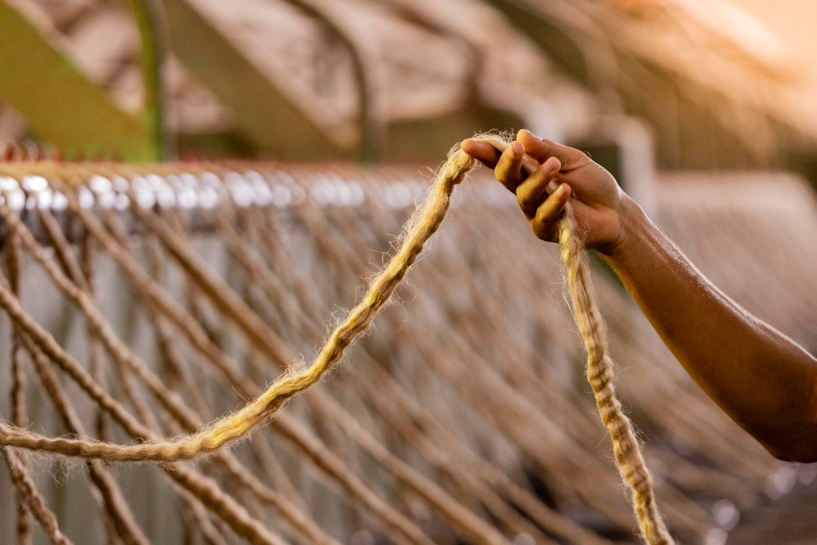 parceria-garante-producao-paraense-da-corda-que-sera-utilizada-no-cirio-2026