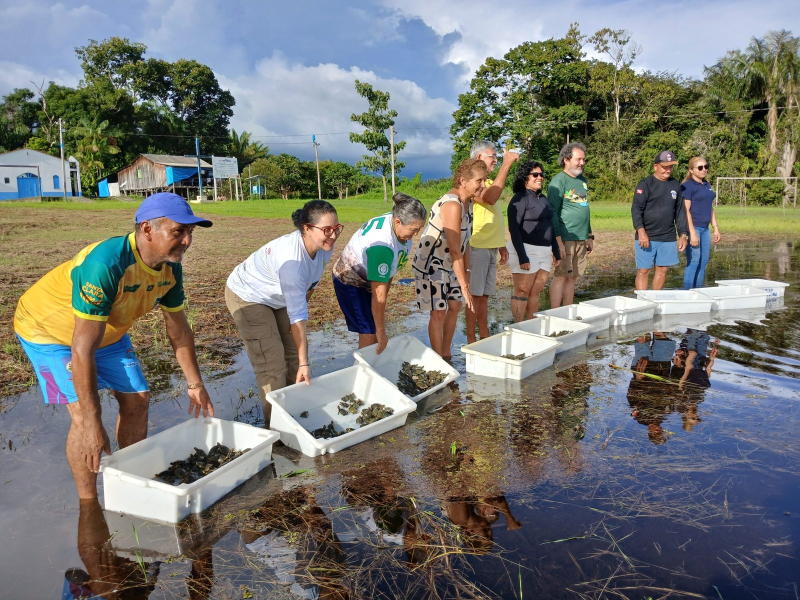 soltura-de-quelonios-reforca-conservacao-ambiental-e-mobiliza-comunidades-no-oeste-do-para