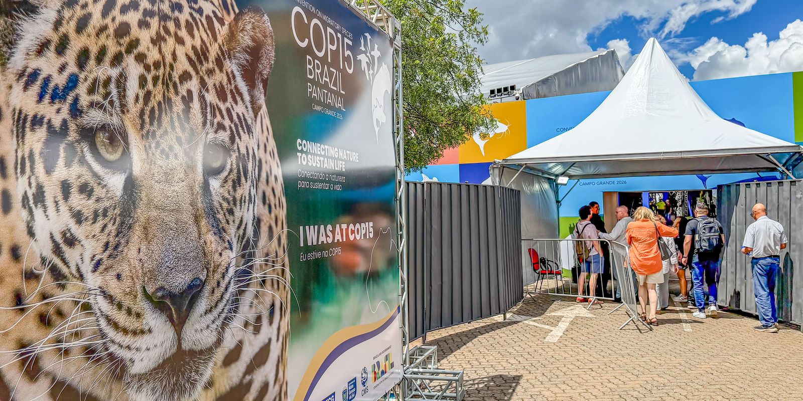 brasil-sedia-encontro-mundial-sobre-protecao-de-especies-migratorias