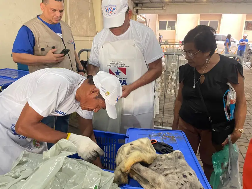 consumidores-encontram-variedade-e-precos-acessiveis-na-semana-do-pescado