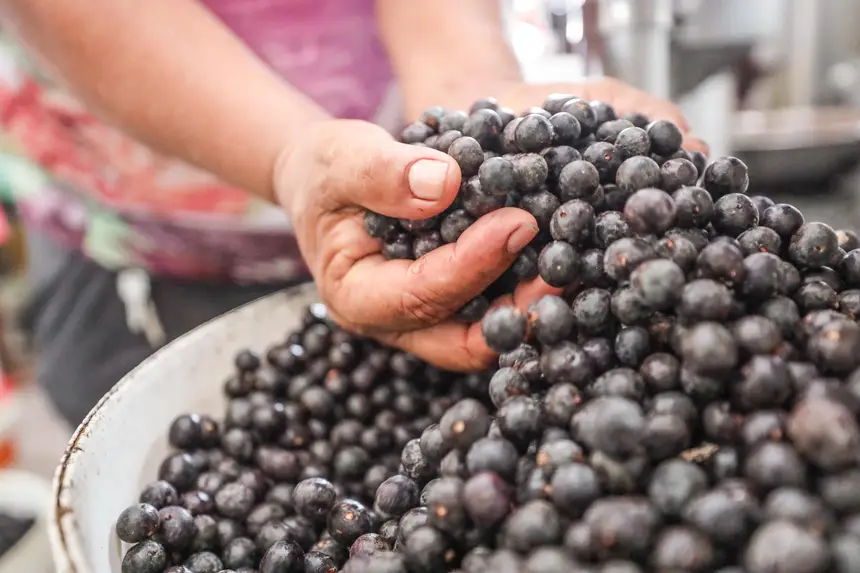e-do-para!-belem-concorre-ao-premio-de-maior-destino-gastronomico-do-pais;-saiba-como-votar