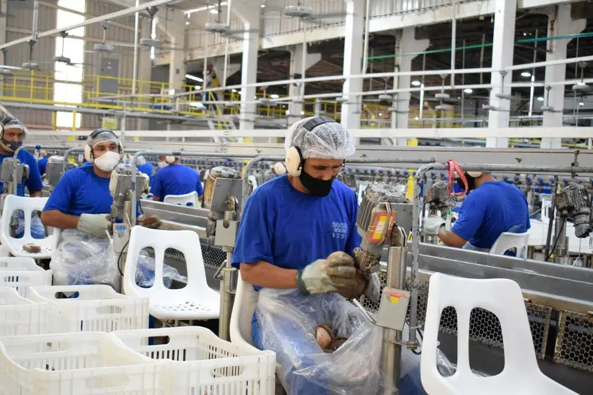 para-lidera-insercao-de-jovens-no-mercado-de-trabalho-na-regiao-norte