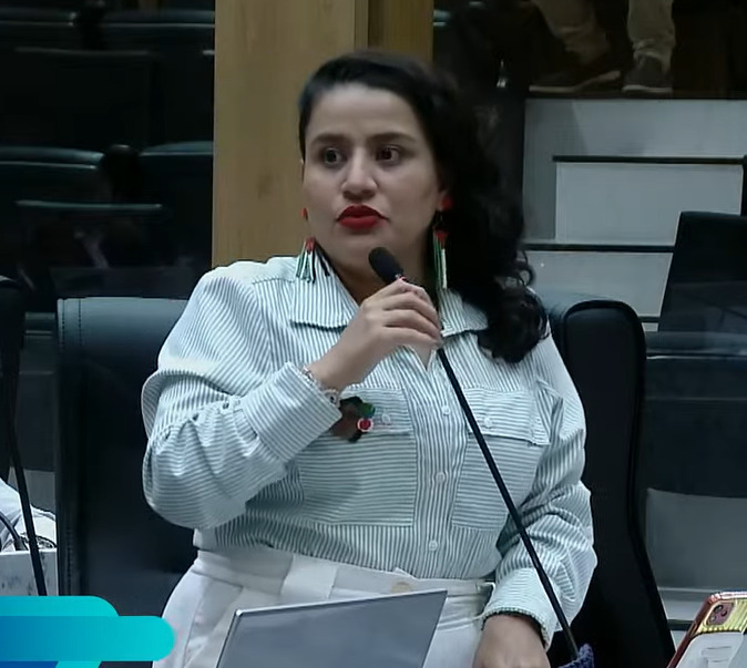 ataques-misoginos-e-racistas-contra-vivi-reis-sao-rastreados-ate-o-rio-de-janeiro